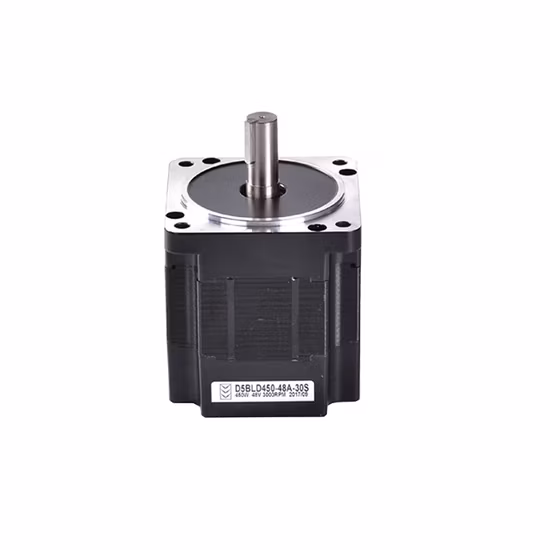 Alto Torque12V 24V 36V 40V 48V 72V 250W 300W 450W 500W 600W 750W 800 Watt 2800rpm 3000 Rpm Enfriador de aire sin escobillas BLDC de imán permanente Motor DC