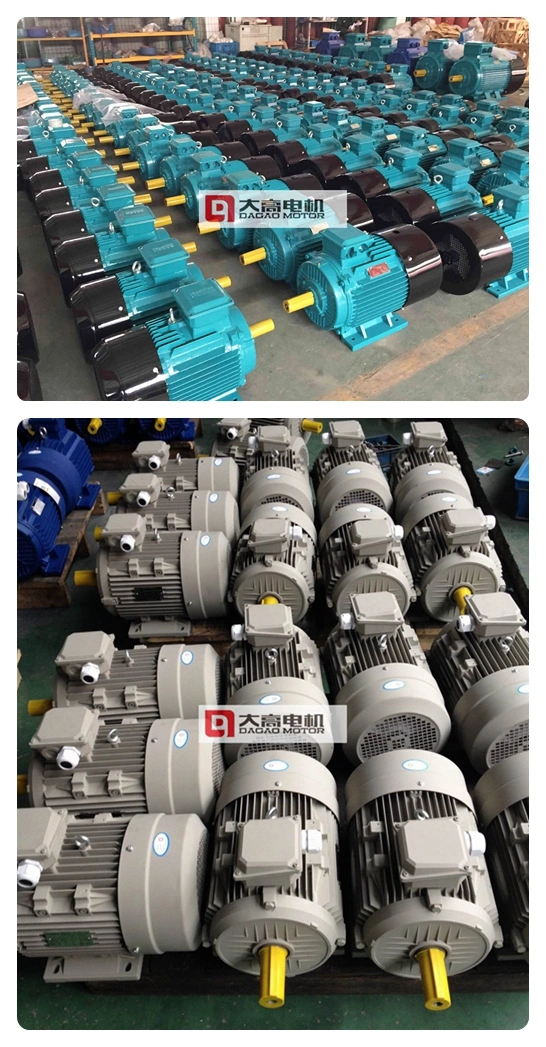 Ye2/Ye3 30kw Three-Phase Asynchronous Squirrel-Cage Cast Iron Induction Electric Motor